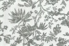 Grey flowers on white