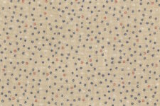 Blue red and white flowers on light brown