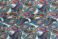 Multi coloured paisley
