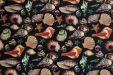 Shells