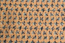 Grey stars on orange